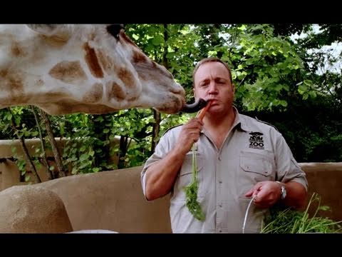 Zookeeper - HD (MA/Vudu)